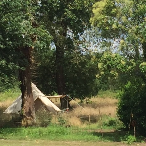 Vers un camping à la ferme