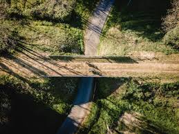 Ballades dans la nature